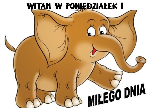 Słoń witam w poniedziałek miłego dnia